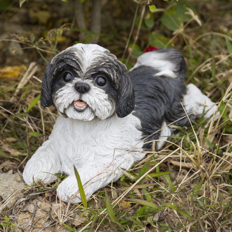 maltese shih tzu statue